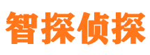 兴业侦探